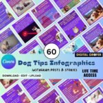 Pets Care Infographics for Instagram