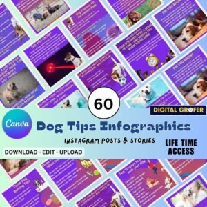 Pets Care Infographics for Instagram
