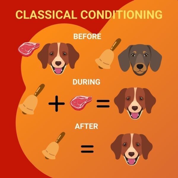 120 Dog Training Infographics