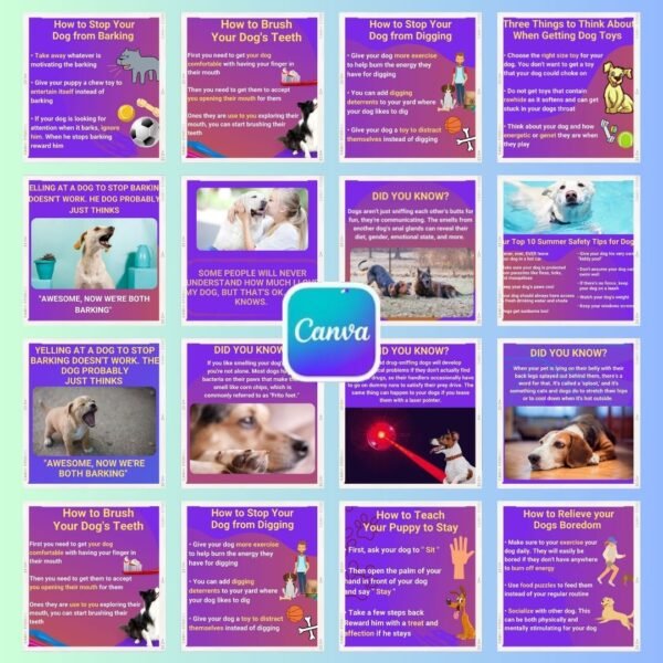 60 Dog Tips Infographics Templates