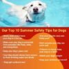 120 Dog Training Infographics