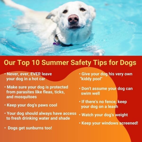 120 Dog Training Infographics