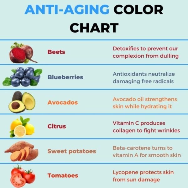 1500 Health and Fitness Canva Infographics Bundle