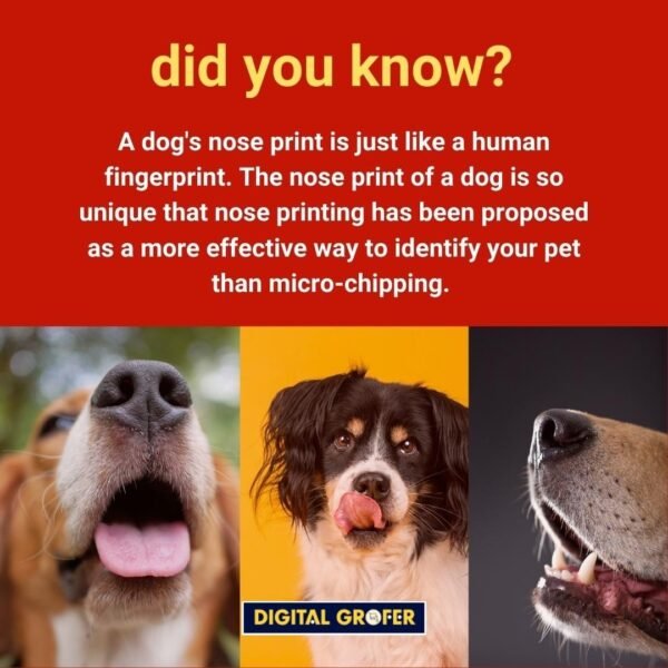 120 Dog Training Infographics