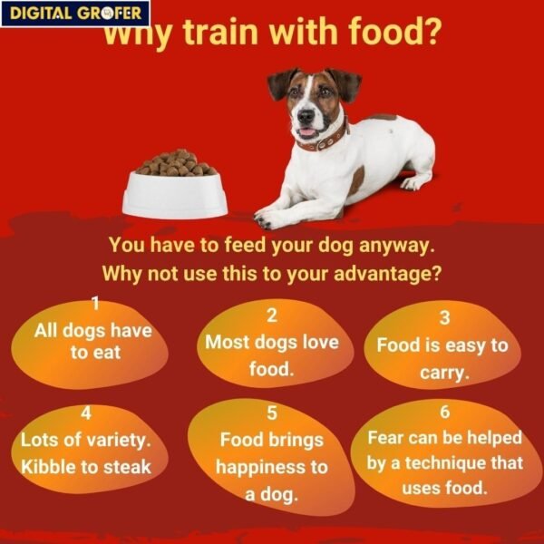 120 Dog Training Infographics